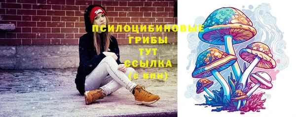 ALPHA PVP Белокуриха