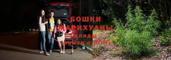 молекула духа Балахна